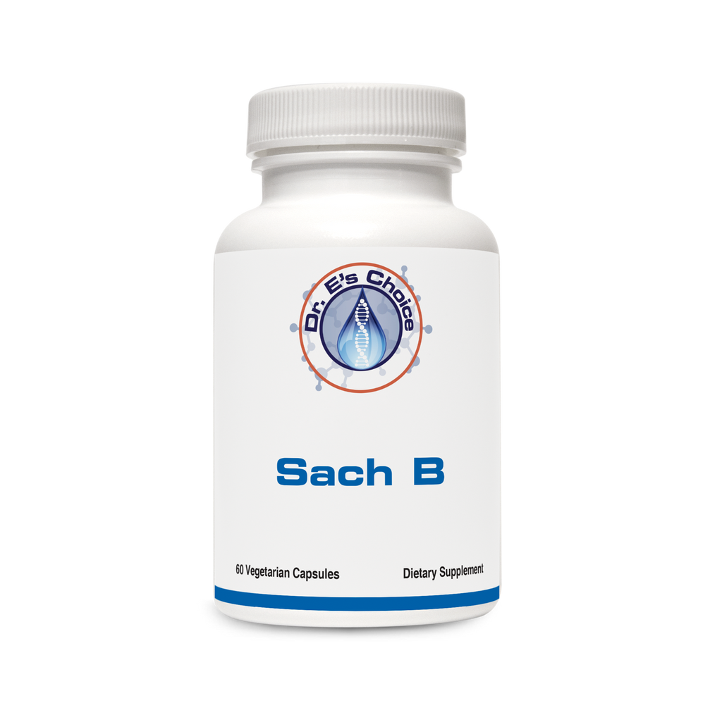 Sach B